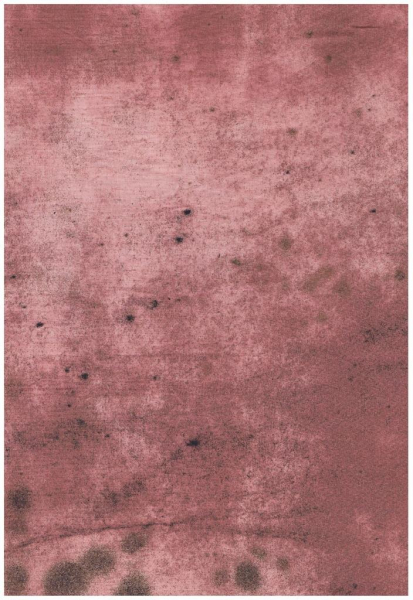 Tim Holtz, Provions